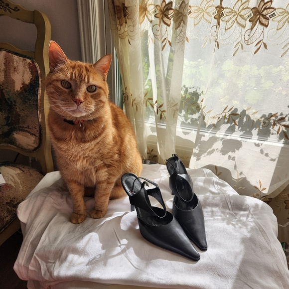 Black Patent Leather Shoes size 8 - Picture 4 of 7